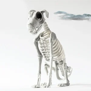 Realistico cane scheletro di Halloween spaventoso cane seduto scheletro statua animale teschio osso ornamenti artistici per oggetti di scena casa stregata festa 1