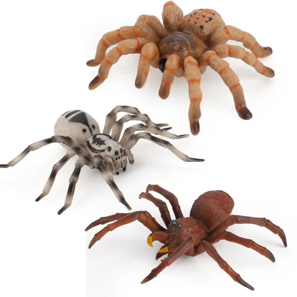 Simulazione Animali Insetto Modello solido Tarantula Ragno nero Halloween Scherzo ingannevole Spaventoso Divertente Action Figures Giocattoli educativi 3