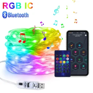 RGB IC LED Light String Bluetooth USB 5V Music Dream Color Light WS2812B Christmas Birthday Party Garland Decor Home Elf Light 1