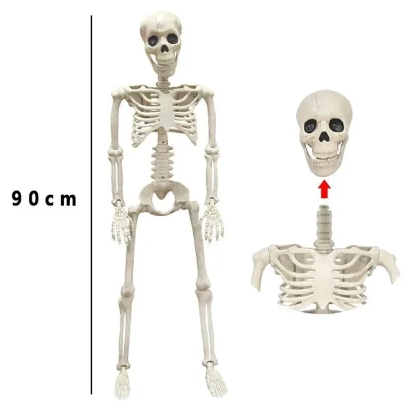 Scheletro di teschio di Halloween 40/90 cm Scheletro posabile Forma umana Ossa Decorazioni per la casa per feste di Halloween Puntelli horror per casa stregata 6
