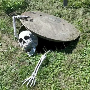 Decorazioni di Halloween Pali di scheletro Halloween Teschio realistico Testa di scheletro Braccia di mano umana per la festa di Halloween Giardino domestico Prato 1