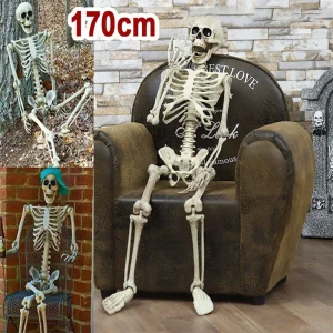 40-170cm posabile a grandezza naturale scheletro umano Halloween Horror anatomia teschio mobile scheletro decorazione di Halloween puntello del partito 1