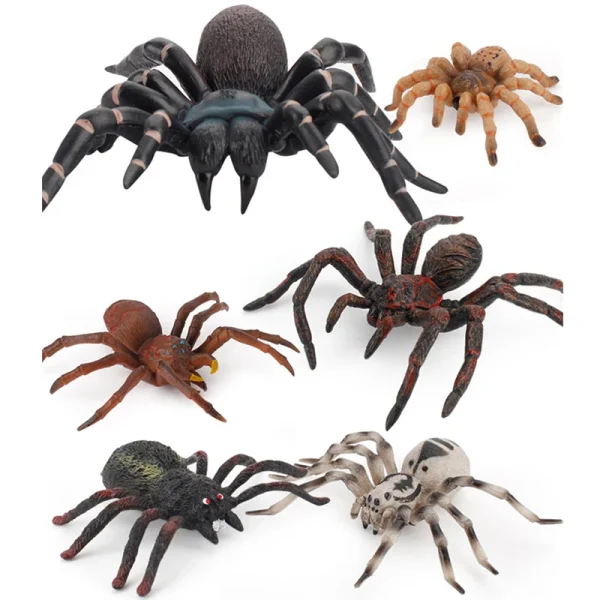 Simulazione Animali Insetto Modello solido Tarantula Ragno nero Halloween Scherzo ingannevole Spaventoso Divertente Action Figures Giocattoli educativi 1