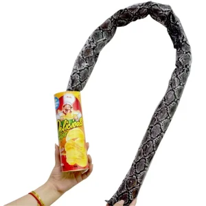Il serpente di patatine fritte Trucchi magici da palcoscenico Giocattolo del serpente Pesce d'aprile Scherzi di festa di Halloween in un barattolo Gag Regalo Patatine fritte spaventose Giocattoli divertenti 1