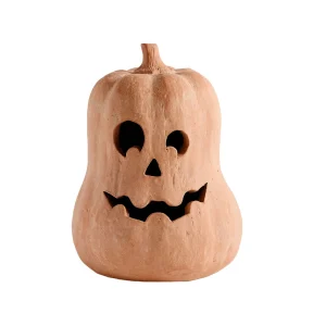 Illumina - Decorazioni di Halloween- Lanterna di zucca in resina per esterni e interni, carina decorazione per festival autunnali in fattoria di Halloween per Ho 1