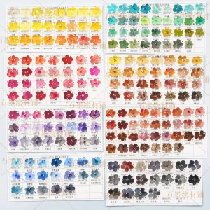 Pittura ad acquerello americana Daniel Smith divisa blu//marrone/verde/terra 0,5 ml 1 ml acuarelas pittura materiale scolastico materiale artistico 1