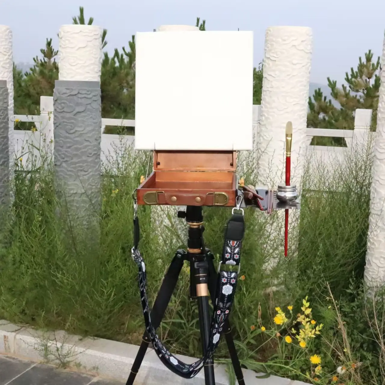 Scatola per pittura Schizzi all'aperto Cavalletti portatili per pittura a olio da viaggio per donne con treppiede 6