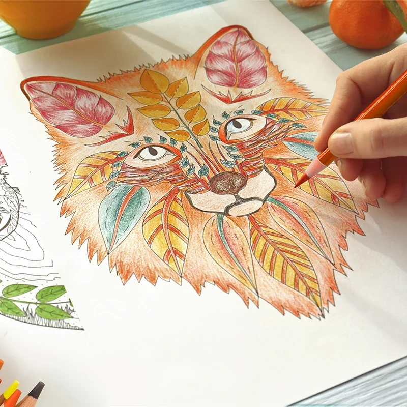 Deli 24/48/36/72 colori Matita Matita colorata oleosa Pittura artistica per matite colorate con scatola di ferro Confezione regalo di compleanno per bambini 6