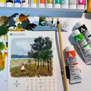 Holbein Pittura acrilica a guazzo Macaron 20ml Pittura professionale Pittura murale Pelle BJD Doll Acrilico Forniture artistiche per principianti 1