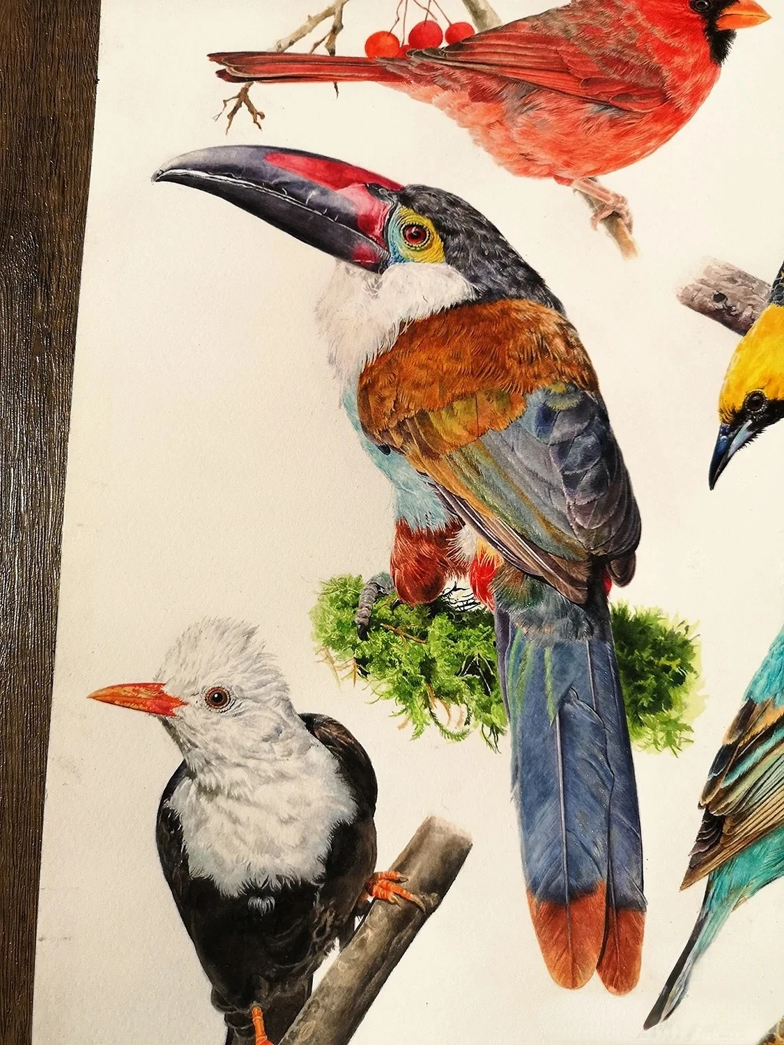 Set di pittura cinese fatta a mano a 12 colori: colori ad acquerello professionali in colori solidi, ideale per schizzi e illustrazioni 2