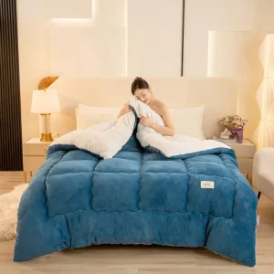 2024 autunno e inverno nuova trapunta invernale calda e ispessita in lana di agnello di lana di latte a doppia faccia trapunta primaverile e autunnale 1